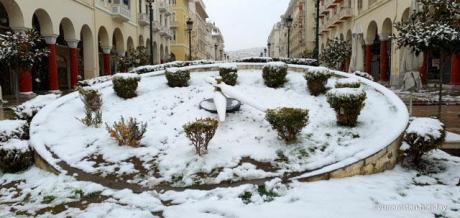 Artistoteles Meydani/Selanik 